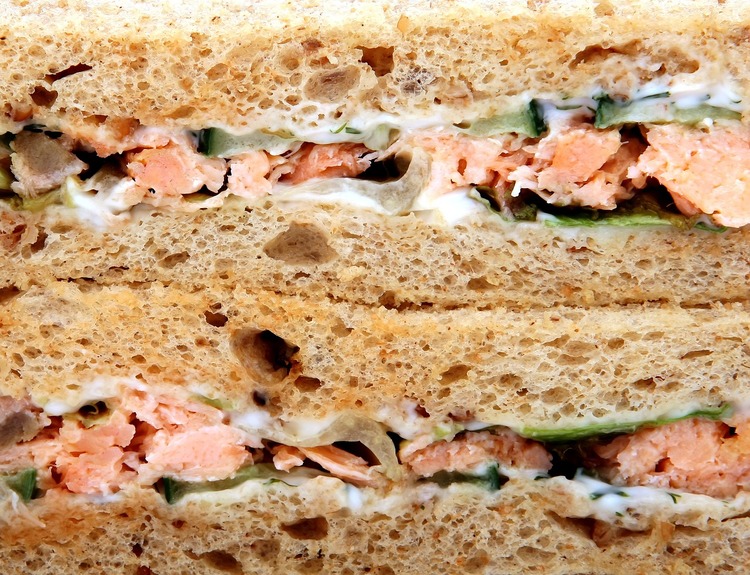 Salmon Salad Sandwich with Mayonnaise and Cucumber