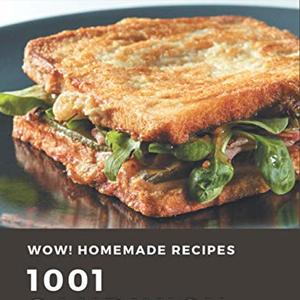 Wow 1001 Homemade Sandwich Recipes